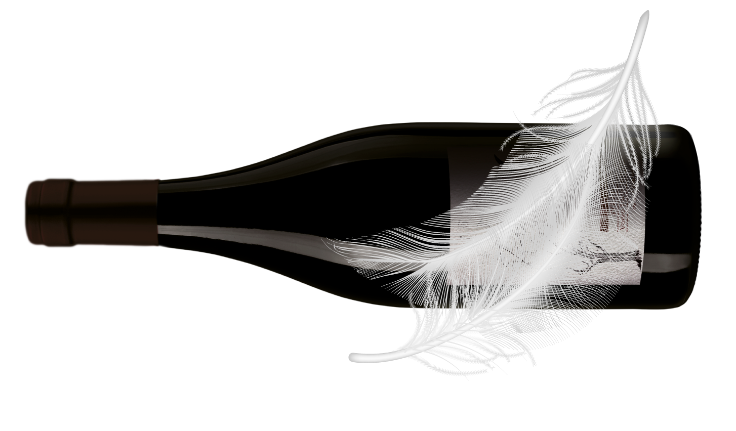 Garrafa Vinho Poesia - Vinícola Castanho